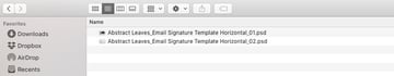 Choose email signature version